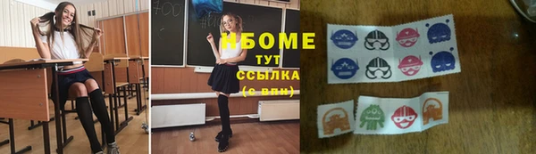 ешки Алексин