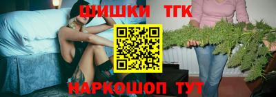 амф Кингисепп