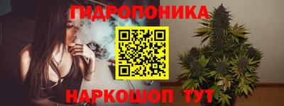 амф Кингисепп
