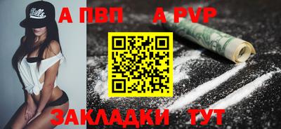 амф Кингисепп