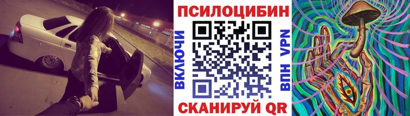 Галлюциногенные грибы Cubensis  даркнет сайт  нарко площадка какой сайт  Кольчугино 