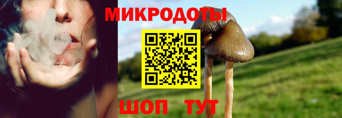 Псилоцибиновые грибы ЛСД Кольчугино