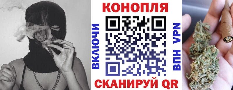 Конопля SATIVA & INDICA  Кольчугино 